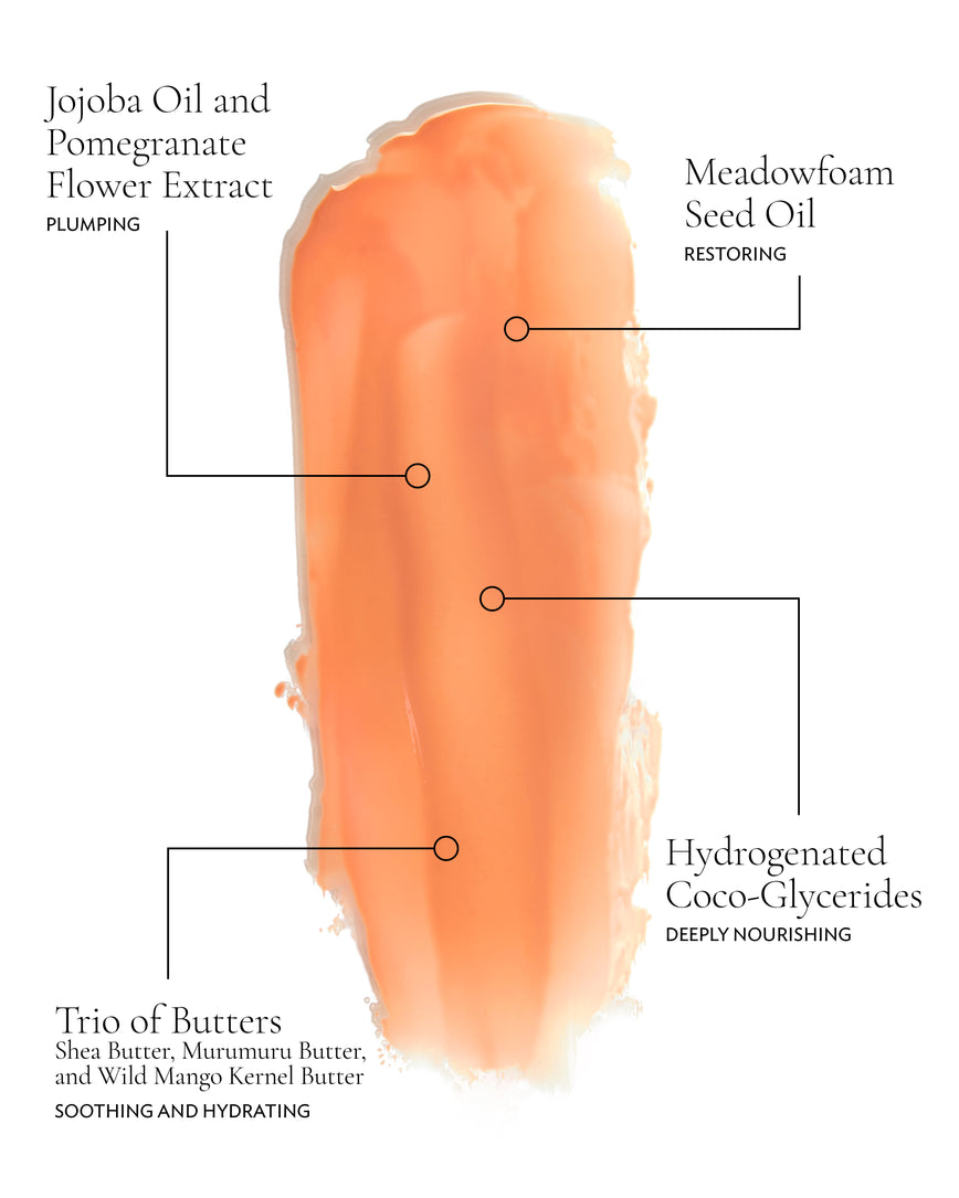 An infographic swatch of Meet Cute detailing the key ingredients and their benefits: Jojoba Oil and Pomegranate Flower Extract (Plumping), Meadowfoam Seed Oil (Restoring), Trio of Butters; Shea, Murumuru, and Wild Mango Kernel (Soothing and hydrating), and Hydrogenated Coco-Glycerides (Deeply nourishing)