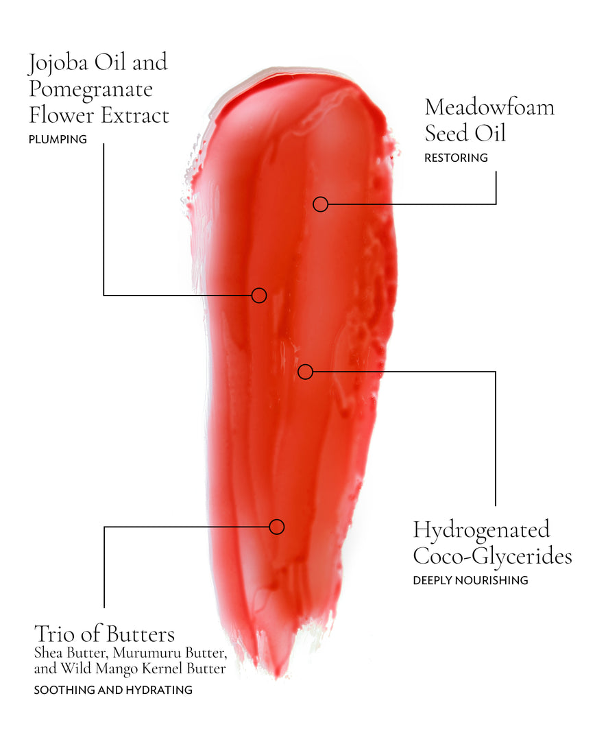 An infographic swatch of Red Curve detailing the key ingredients and their benefits: Jojoba Oil and Pomegranate Flower Extract (Plumping), Meadowfoam Seed Oil (Restoring), Trio of Butters; Shea, Murumuru, and Wild Mango Kernel (Soothing and hydrating), and Hydrogenated Coco-Glycerides (Deeply nourishing)
